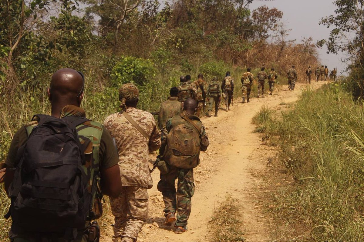 Central African Republic's army & affiliated forces intensified the patrols around the city of Bangui after the recent raids by rebels on capital's surroundings